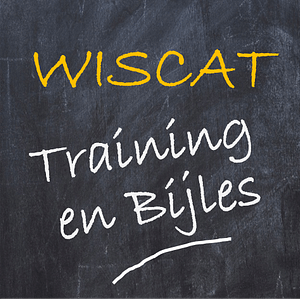 wiscat training en bijles