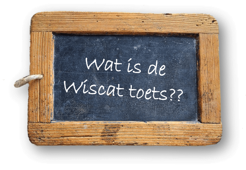 Wat is de Wiscat toets?